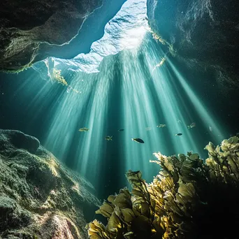 Underwater Coastal Cave Ecosystem