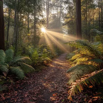 Secluded forest path with crunchy autumn leaves - Image 4