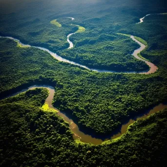 Lush green forest canopy and meandering river seen from airplane window - Image 4