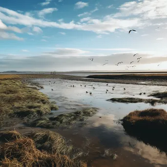 Wide view of high tide in coastal estuary - Image 1