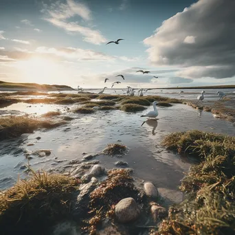 Wide view of high tide in coastal estuary - Image 3