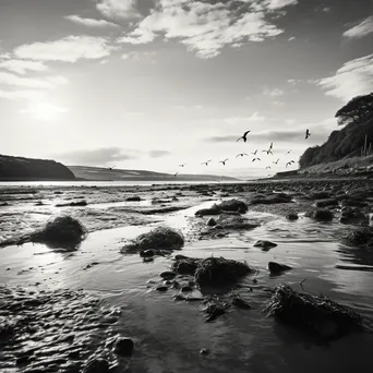 Wide view of high tide in coastal estuary - Image 4