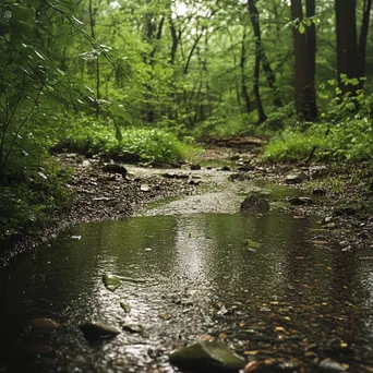 Woodland clearing during a gentle rain with a nearby stream. - Image 1