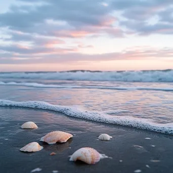 Peaceful beach scene at dawn with soft pastel skies, gentle waves, and seashells on the wet sand. - Image 2