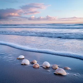 Tranquil Morning at the Beach