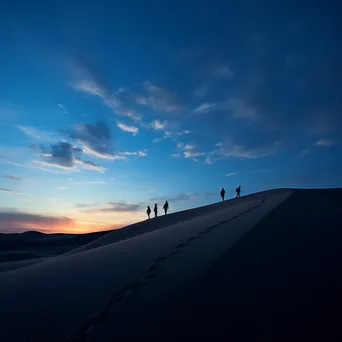 Wandering Through the Dunes