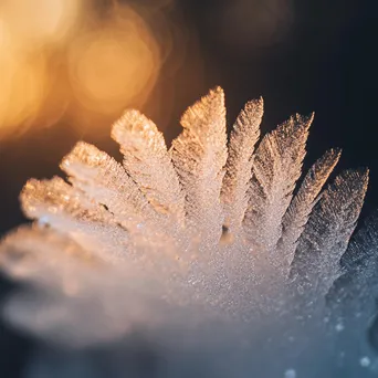 Close-up of intricate ice crystal patterns on fogged glass. - Image 1