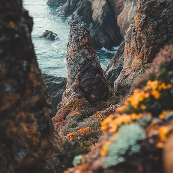 Close-up of coastal sea stacks with marine flora - Image 2