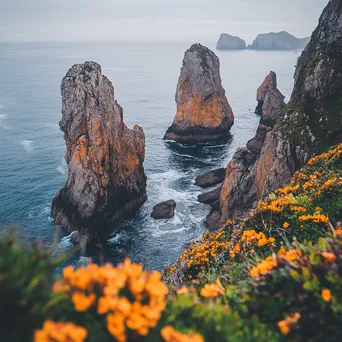 Close-up of coastal sea stacks with marine flora - Image 3