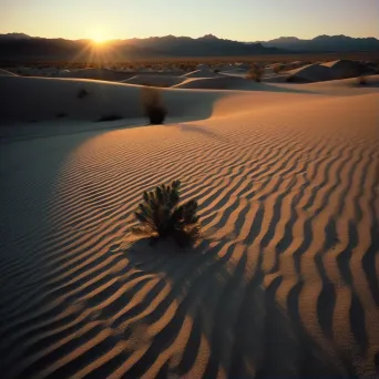 View of a vast desert landscape at sunset with sand dunes and a solitary cactus - Image 1