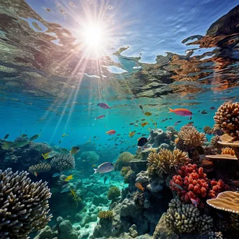 Underwater scene of a colorful coral reef with fish and sunlight - Image 1