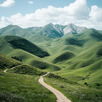 Winding trail through a vibrant mountain plateau. - Image 2