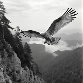 Griffin flying over wilderness - Image 4