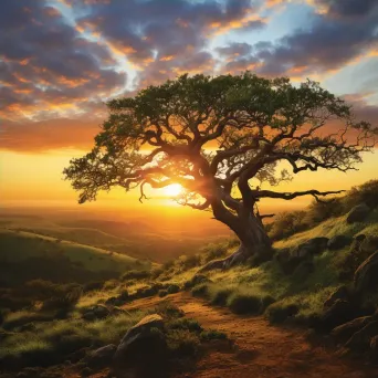 Illustration of an ancient oak tree on a hilltop at sunset - Image 4