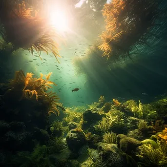 Underwater garden with seaweed and schools of fish - Image 1