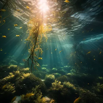 Underwater garden with seaweed and schools of fish - Image 3