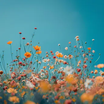 A wildflower meadow filled with colorful blooms under a clear blue sky. - Image 2