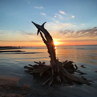 Leap of a dolphin sculpture made of driftwood against a sunset, reflecting Giacometti