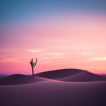 Cactus silhouetted against desert dunes at dusk - Image 1