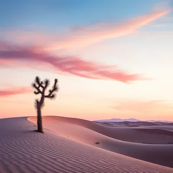 Cactus silhouetted against desert dunes at dusk - Image 3