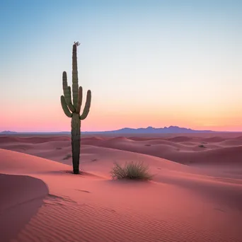 Cactus silhouetted against desert dunes at dusk - Image 4