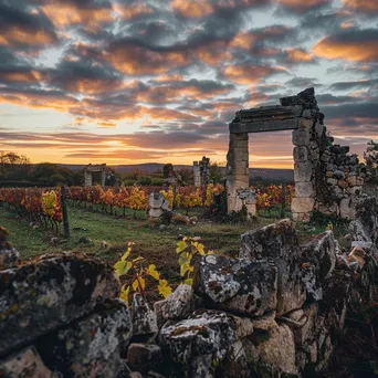 Historic vineyard estate ruins at sunset - Image 4