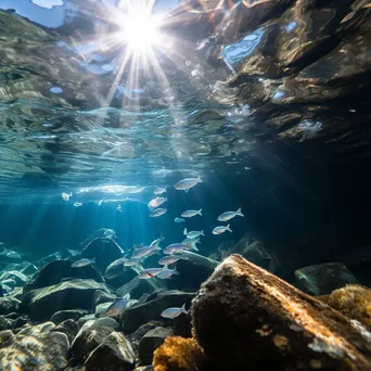 Underwater view of fish in a rock pool with sunlight - Image 2