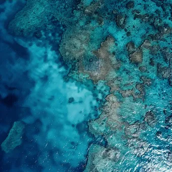 Ocean Coral Reef Aerial View