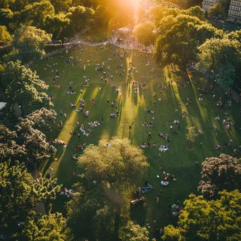 Busy City Park in Summer