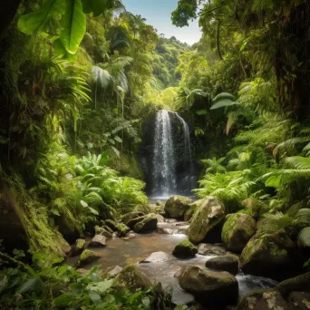 Waterfall rainforest - Image 1