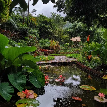 Traditional herb garden with raindrops on leaves - Image 4