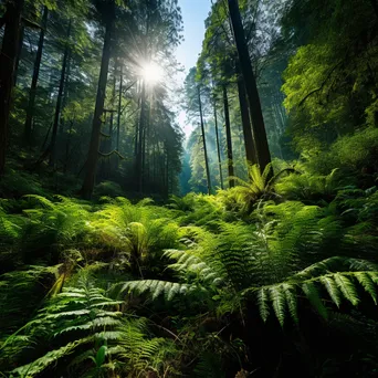 Dense forest understory with ferns and wildflowers illuminated by morning sunlight. - Image 1