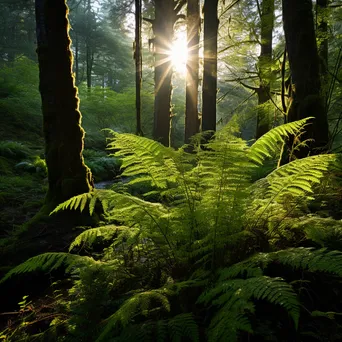 Dense forest understory with ferns and wildflowers illuminated by morning sunlight. - Image 2